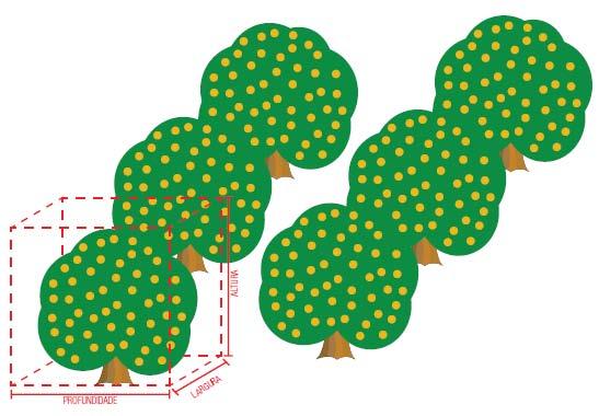 Spray volume Conventional adult orchard TRV (m 3 /ha) = 10,000 / Row spacing 7 m (23 ft) row spacing x tree depth x tree height 10,000 / 7.0 m x 3.9 m x 4.