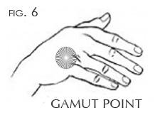 Add the 9-Gamut Next, tap on the Gamut Spot and perform the 9-Gamut. The Gamut Spot (Fig. 6) is on the Back of the Hand between the knuckles, at the base of the ring and baby fingers.