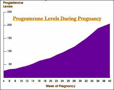 Hoàng Thể sản xuất progesterone cho đến tuần T7 của thai kỳ Từ tuần T7 của thai kỳ: