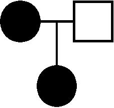 g) Write the genotype next to the symbol for each person in the pedigree below. h) Is it possible that this pedigree is for an X-linked recessive trait?
