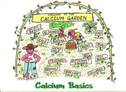 Eat a VARIETY of healthful foods Pay particular attention to: CALCIUM Dairy foods, dry