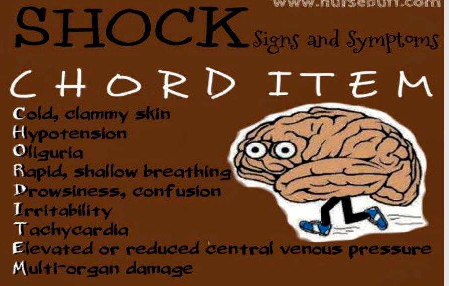 Stages of shock Compensatory Stage of Shock SNS causes vasoconstriction, increased HR, increased heart contractility This maintains BP, CO Body shunts blood from skin, kidneys, GI tract, resulting in