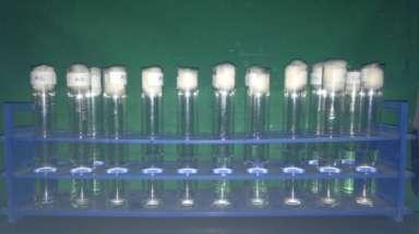 Fig-2: Specimen placed in a test tube containing 10 ml distilled water Fi-3: Specimens incubated for 37 C for six weeks Fig-4: Specimens were placed on filter paper (Whatman) for a period of 1min