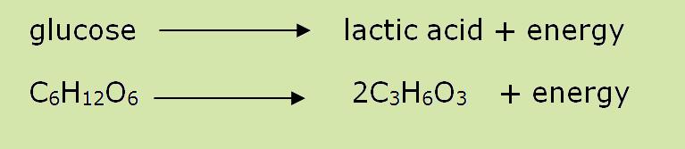 Lactic Acid system: no oxygen goes for 10-60 seconds slightly longer