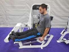 Seated leg calf raise (machine) Refer to illustrations and instructions.