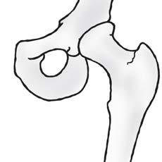 Did you notice that we are able to bend or rotate our body in places where two parts of our body seem to be joined together like elbow, shoulder or neck? These places are called joints.