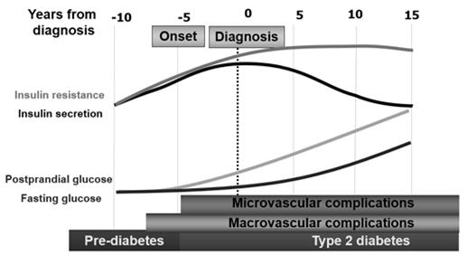 From DeFronzo RA. Diabetes. 2009;58(4):773-795; Schwartz S.