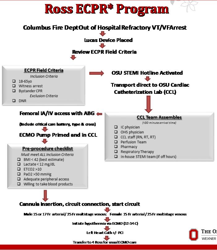 15 Novel Approaches to refractory VF/pulseless VT Summary Overall out-of-hospital cardiac arrest survival rates are dismal (<10%) and neurologic recovery is very poor Approximately 80,000 people die