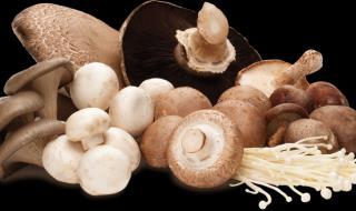 Gljive Gljive Gljive su poznate po sadržaju β-glukana,
