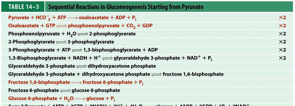 Sum of glycolysis: Glucose + 2NAD + +