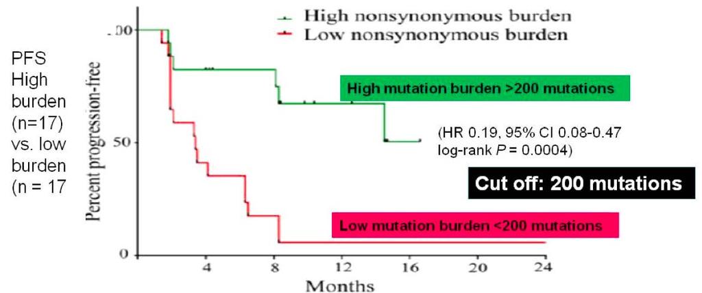 High Mutational Burden Predicts Response to