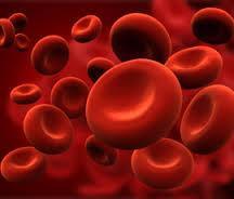 Red Blood Cell Definition: A type of blood cell that picks up oxygen in the lungs and delivers