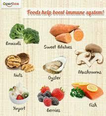 Immune System Definition: A group of organs that provides protection against disease-causing