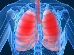 Respiratory System Definition: A system that interacts with the environment and with other body systems to bring
