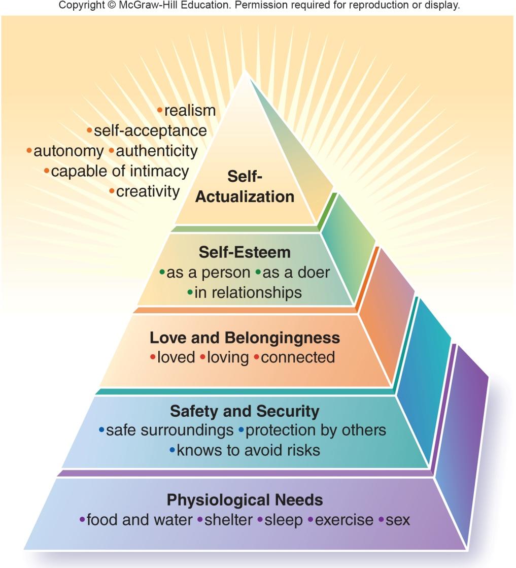 The Self- Actualized Person Self-actualization: the state