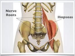 Anatomical description and pictures The psoas (SO-az) muscles are located deep within the