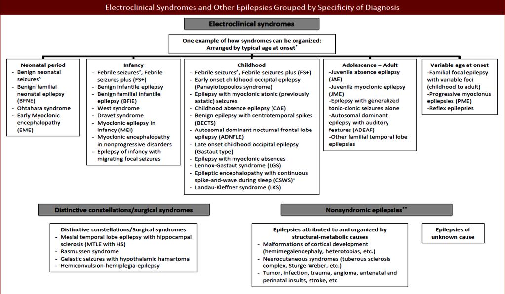 ILAE Proposal for Revised Terminology for Organization of Seizures and Epilepsies 2010 * The arrangement of electroclinical syndromes does not reflect etiology, ^ Not traditionally diagnosed as