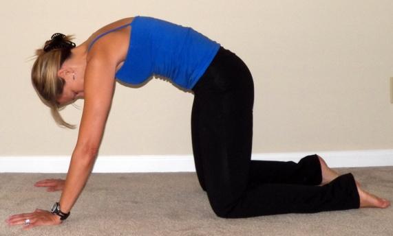 Cat Pose/Spinal extension In hands and knees with your hands placed shoulder width apart and knees under your hips, as you exhale, slowly round the spine, pulling the belly