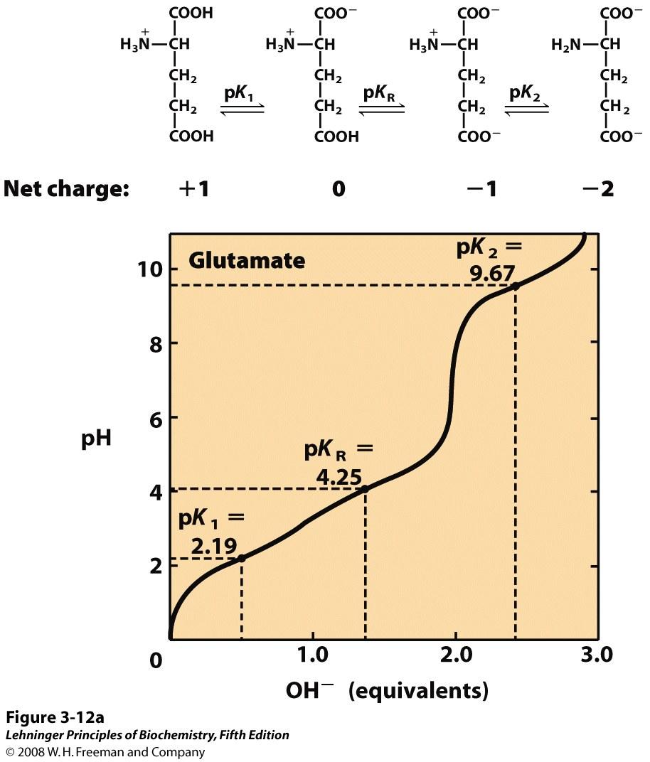 Titration Curves for