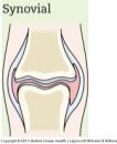 Reduction in collagen causes stiffness in joints 4. Loss of height as discs get thinner 5.