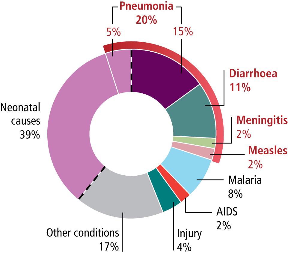 Causes of under-five deaths in GAVI-eligible