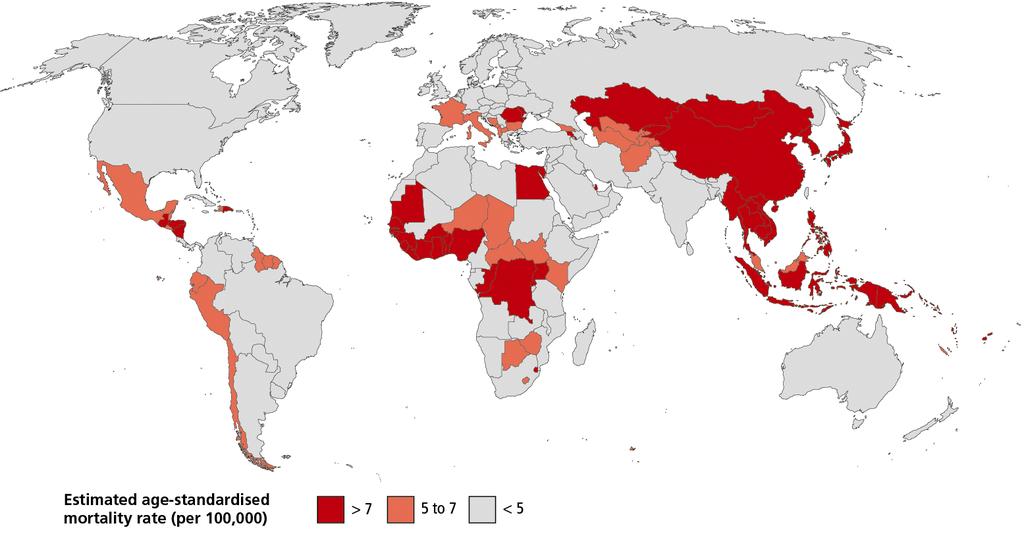 Liver cancer mortality Source: GLOBOCAN 2012