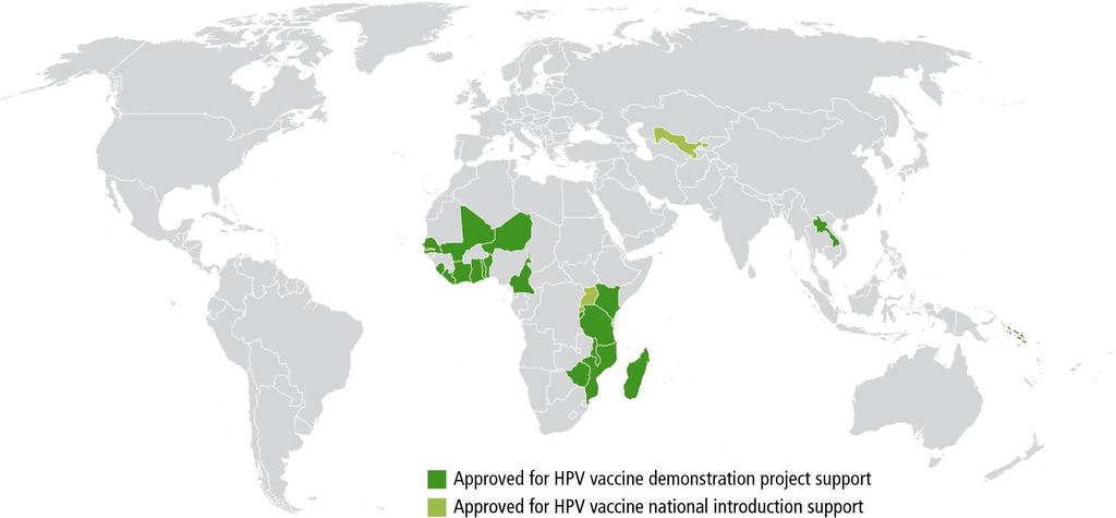 Human papillomavirus (HPV) vaccine support