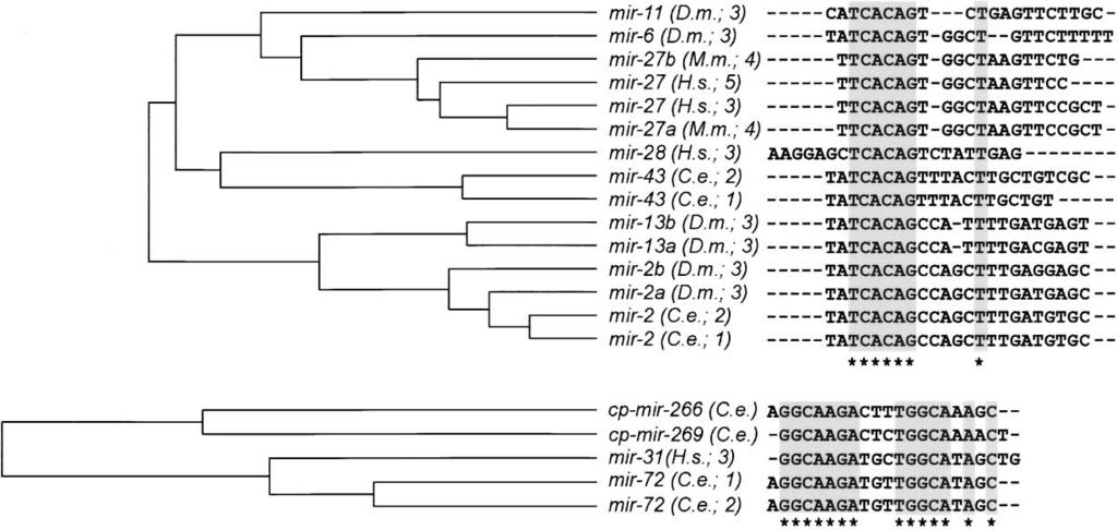 Comparative Genomic Discovery of mirnas 1261 Figure 4.