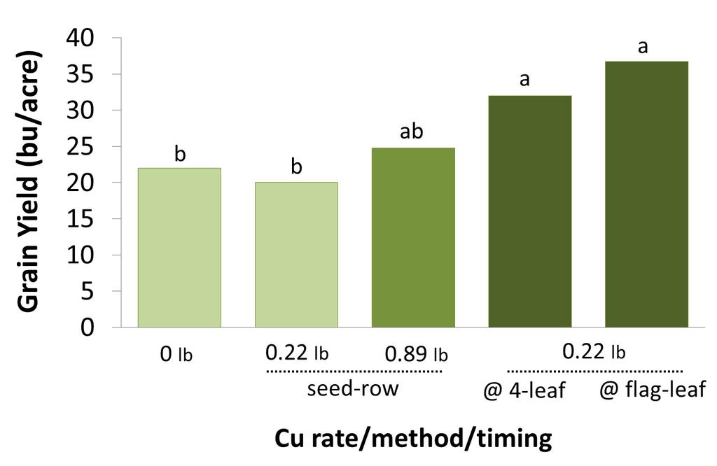 Copper Rate, Method and Timing Effects SW Grain Yield Low rates and lack of dispersion in soil limit Cu