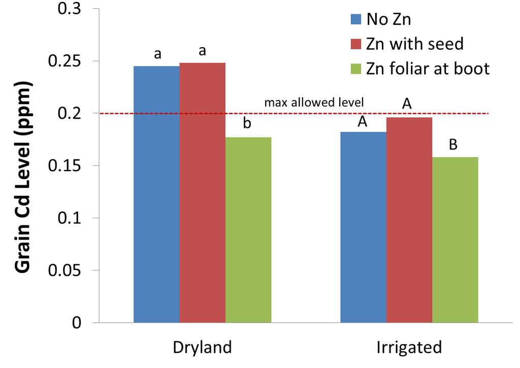 Foliar Zn at boot decreases durum wheat grain cadmium (Cd) level (though did not increase