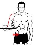 A rolled up towel may make the exercise more comfortable but is not essential. Grasp Theraband, pull band in to touch stomach slowly and controlled. Return to start position.