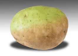 ) - Solanine in potatoes exposed