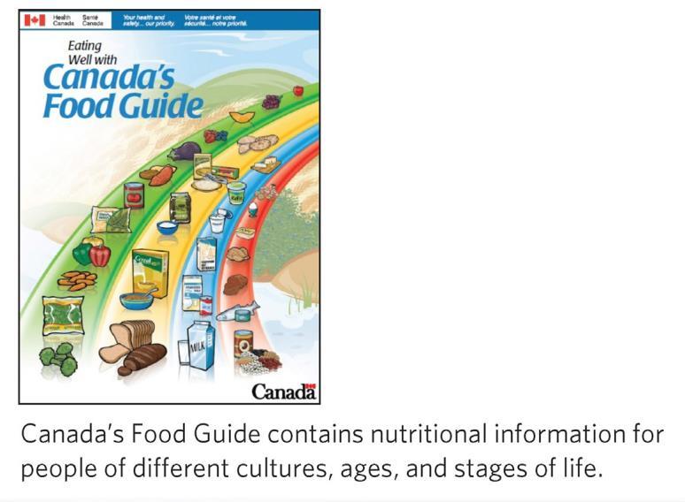 Canada s Food Guide The food intake pattern recommended in the most recent Canada s Food