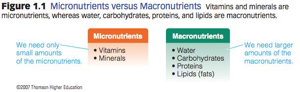 Nutrients The foods we eat are made up of different components that we call nutrients.