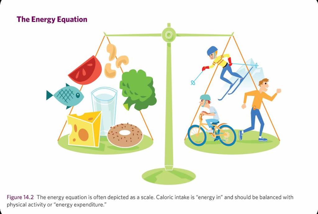 The Energy Equation 2015