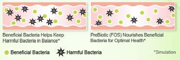 Clinical Application of Prebiotics Inflammatory Bowel Disease Antibiotic