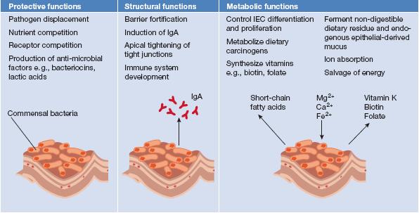 The Gut Micro biota and its influence on health