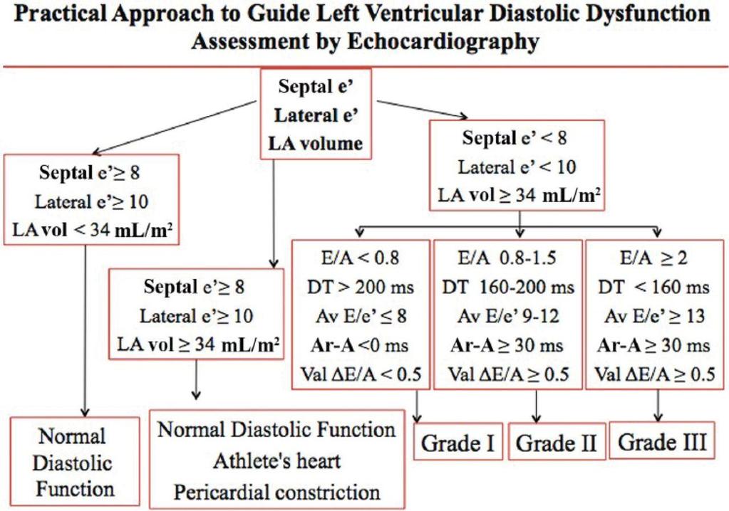 Practical approach to grade diastolic dysfunction by echocardiography.