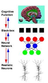 Developing and applying computational methods to the study of brain and behaviour: How?