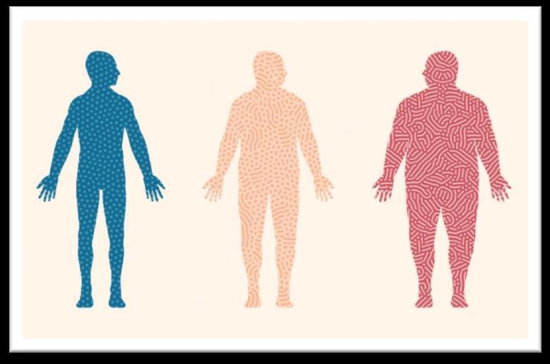 Obese humans and mice have decreased richness and diversity Obese individuals more likely to have a low gene count MICROBIOTA & OBESITY Obese individuals shown to have higher proportion of Firmicutes