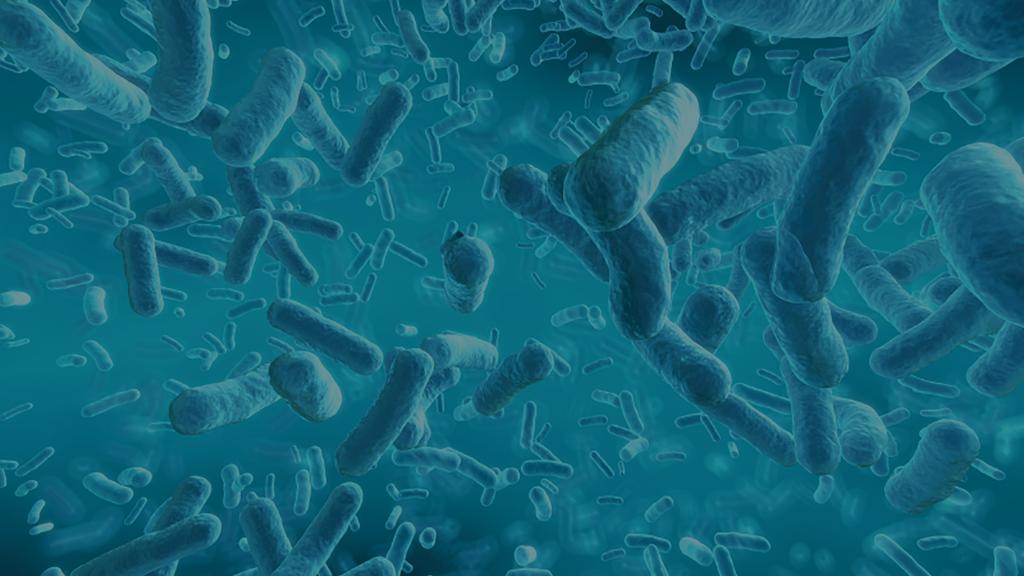 MASTERING THE MICROBIOME: Dysbiosis