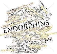 Endorphins Endorphins are neurotransmitters that stimulate neurones involved in reducing the intensity of