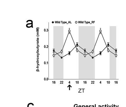 Supplementary Figure 5 Temporal profile of βohb in plasma