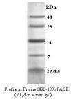 code product name application/description unit unit price new/old ` 59893 Low-Range This protein molecular weight standard includes proteins 0.5 ml 3627.