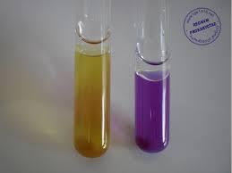 decarboxylation results in alkaline end-products that raise the ph of the medium,causing the bromcresol purple to turn 14- STARCH HYDROLYSIS TEST Purpose and Procedure Summary Starch is a