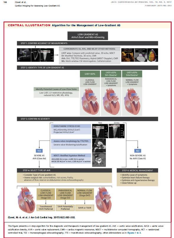 AN INTEGRATED / STEP WISE APPROACH TO THE MANAGEMENT OF LOW GRADIENT SEVERE AORTIC STENOSIS Assess accuracy of data Determine type LG