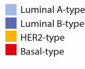 trial luminal tumors (N=4718) Molecular subtyping