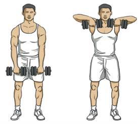 Back Exercises Upright row Hold weights with arms fully extended down Pull weights up while keeping them together Raise till weights are just under your chin