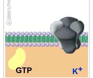 GIRK= G protein-coupled