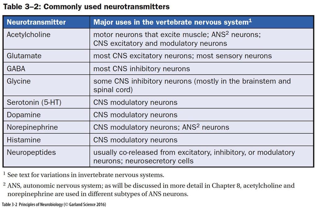 Classification of Neurotransmitters by Chemistry and Function Acetylcholine (ACh) Amino Acids (Glu,